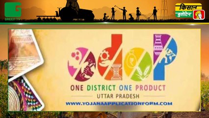 किसानों को मिलेगी 10,000 रुपये तक की सब्सिडी मोटर-पंपसेट खरीदने पर । Haryana News । Kisan Bulletin : Green TV