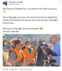 Son dakika gündem: BAKAN SOYLU, KUYUDAN KURTARILAN KÖPEĞE 'BOZKURT' İSMİNİ VERDİ