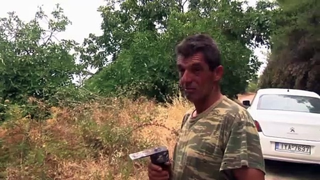 Pinienharz-Wirtschaft auf Euböa am Boden: 'Hier gibt es nichts mehr'