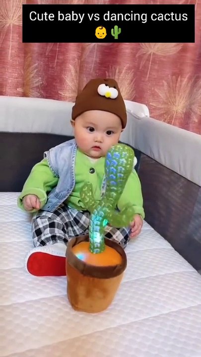 Cute Baby vs Dancing Cactus tiktok video