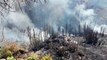 Incêndio em vegetação mobiliza Corpo de Bombeiros ao Cascavel Velho