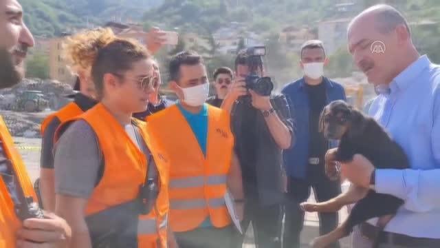 Son dakika haberi: KASTAMONU - Bakan Soylu, Kastamonu'daki sel felaketinin ardından kurtarılan köpeğe Bozkurt adını verdi
