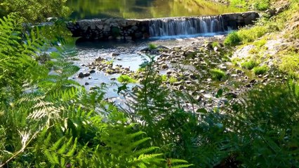 Waterfall Stock Footage  HD VIDEOS  NATURE Relaxing   VIDEOS