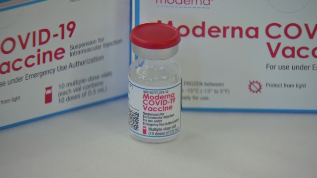 정부 모더나 백신 2주간 701만 회분 도입 / YTN