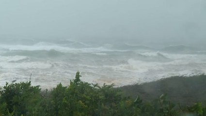 Ferocious winds from Henri race across Long Island