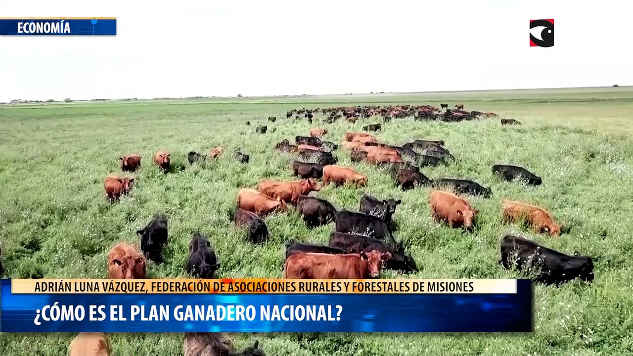 ¿Cómo es el Plan ganadero nacional?