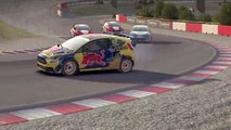 DiRT Rally  (low end pc)