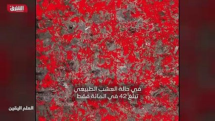 ...كرة القدم على سبيل المثال اربطة الاحذية ...