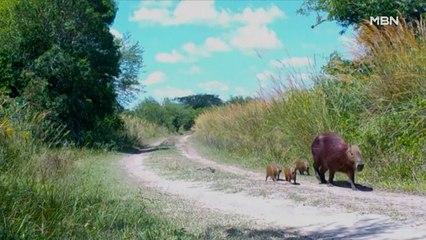 [굿모닝월드] 우리집에 왜 왔니