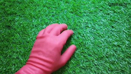 Some tasty, crunchy and delicious food found here in the shop