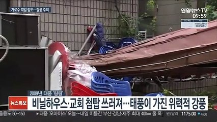 가로수·신호등 쓰러질 정도…'오마이스' 초속 30m 강풍