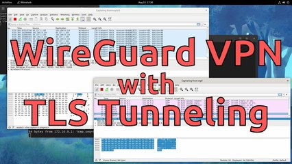 WireGuard VPN with TLS Tunneling