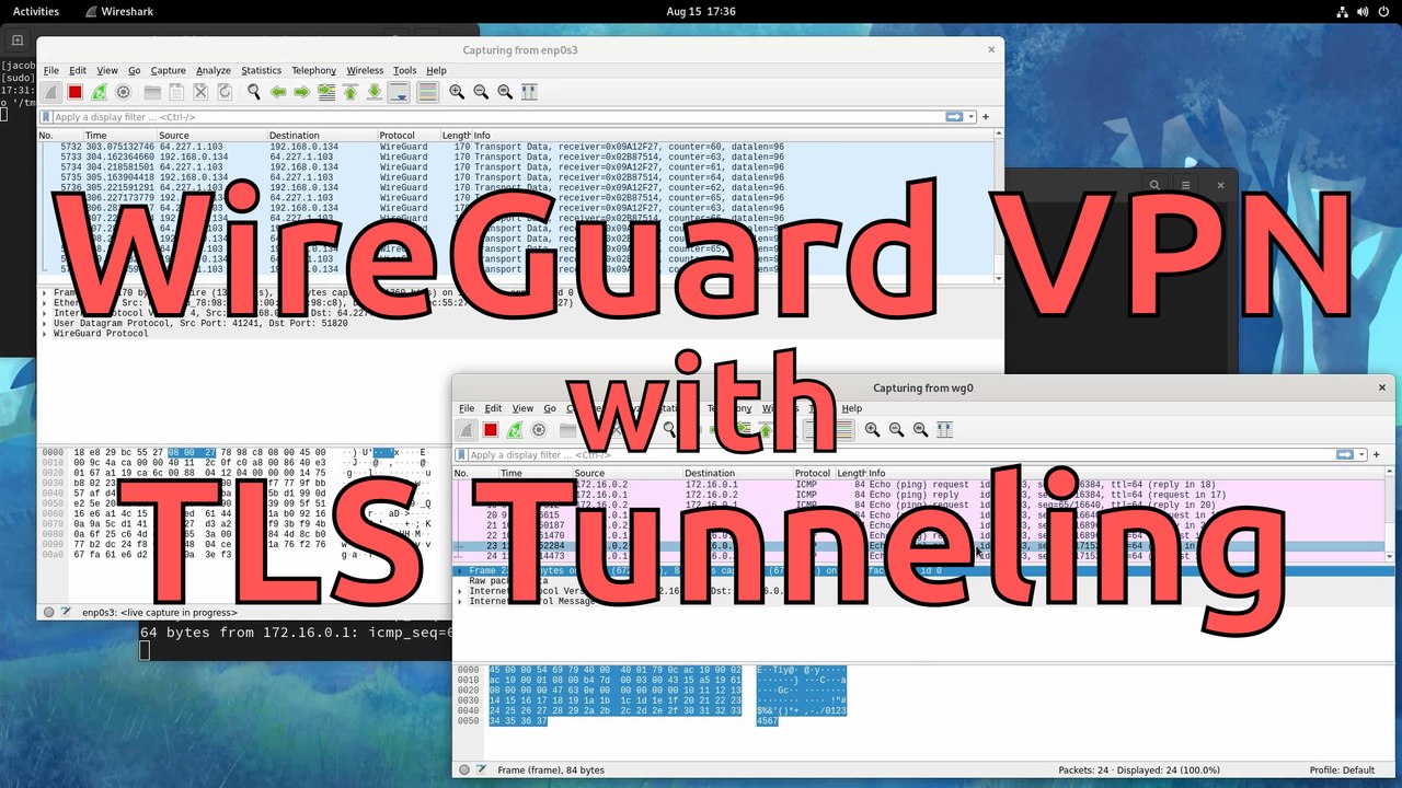 WireGuard VPN with TLS Tunneling