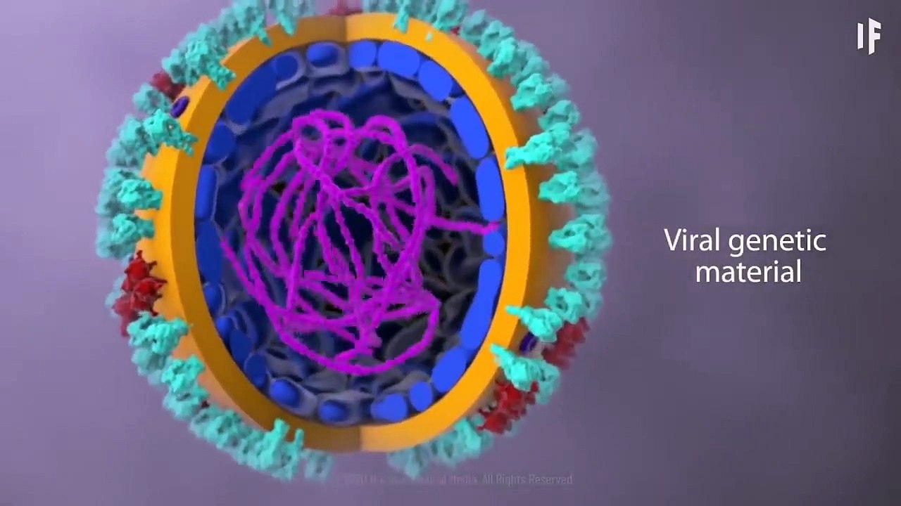 ¿Qué le pasa a tu cuerpo si te contagias de coronavirus?