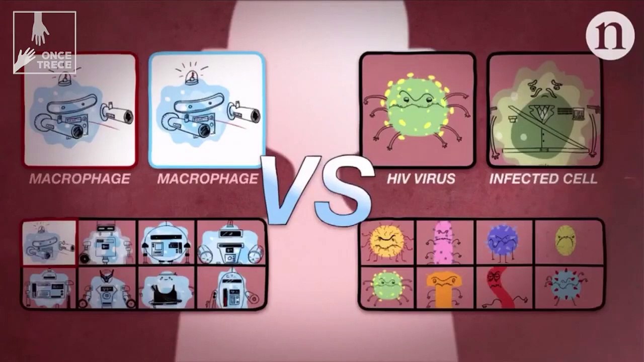 La guerra inmunológica La batalla contra el VIH