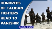 Taliban claim hundreds of them are heading to Panjshir Valley resistance stronghold | Oneindia News