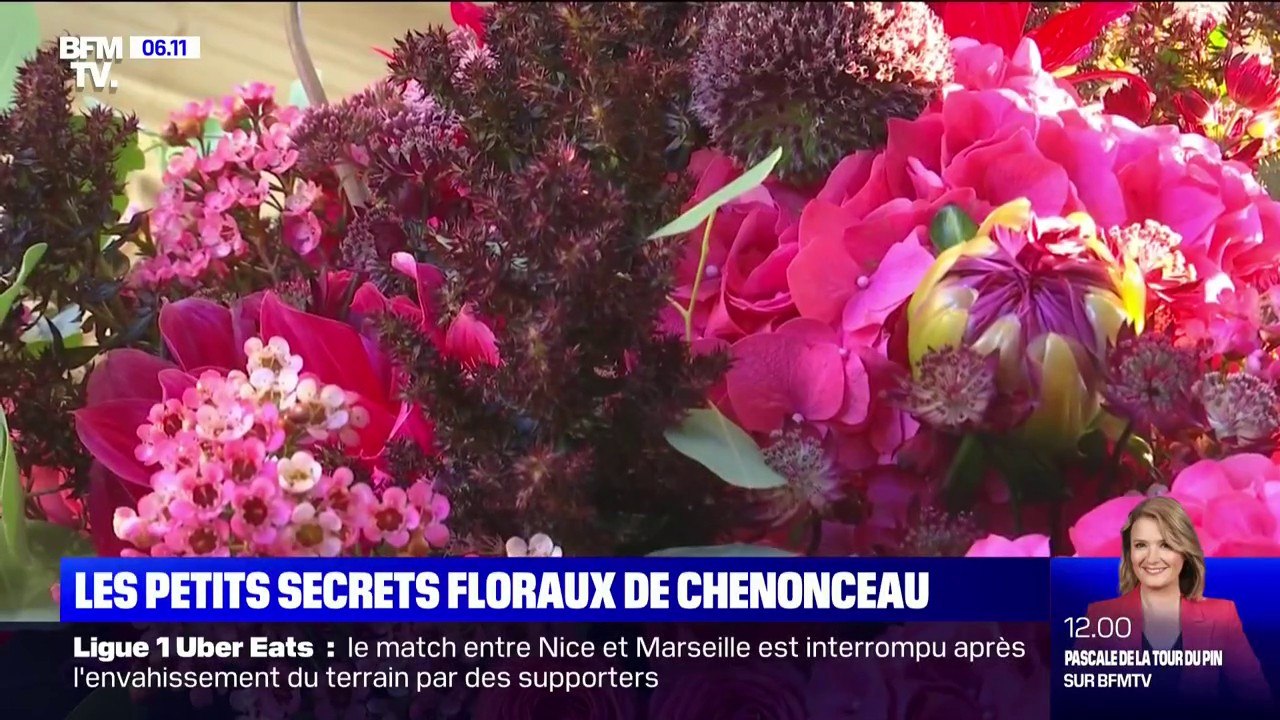 Les petits secrets floraux du château de Chenon...