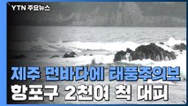 [날씨] 제주 먼바다에 태풍주의보...항포구 2천여 척 대피 / YTN