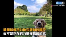 重擊心臟!阿金咬下唇耍萌 萌樣全都錄