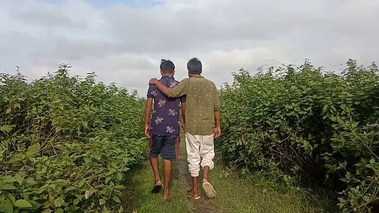 জোলার ট্রেন সফর