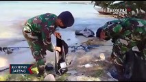 TNI AL Bersih-bersih Sampah di Pantai Karimunjawa