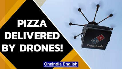 South Korea to deliver Domino’s Pizza via drones in Sejong city  | MOLIT | Oneindia News