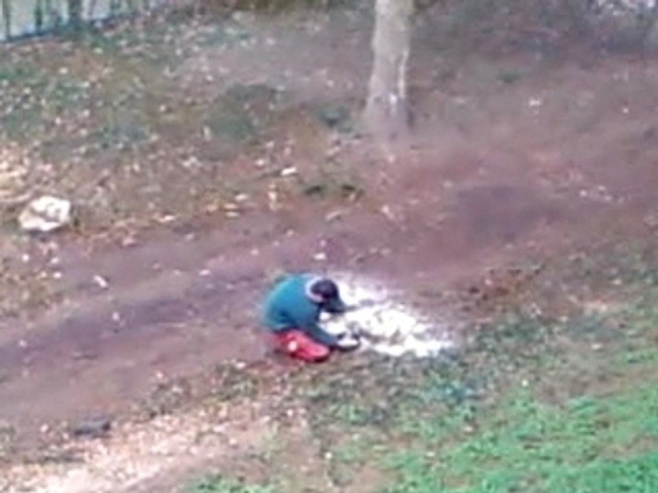 Protégeons les arbres!