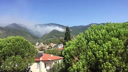 Kazdağları'nda orman yangını