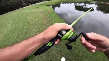 Fishing a CHATTERDONK for BIG Bass (Bank Fishing)