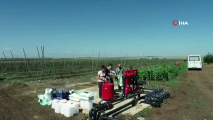Hibe destekli elma ve armut bahçesine droneli denetim