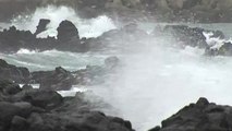 [날씨] 태풍 오늘 밤 제주 지나 남해안 상륙...강한 비바람 / YTN