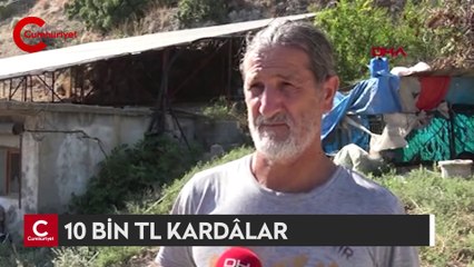 Kabaran elektrik faturalarına köylülerden çözüm: 10 bin TL kârdalar