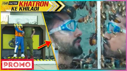 Abhinav Shukla & Rahul Vaidya's Funny Banter While Doing A Task