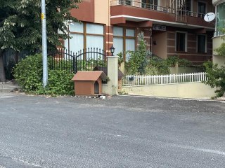 Apartman sakini Özay Kaya'nın, sokak köpeği Köpük için verdiği mücadele amacına ulaştı