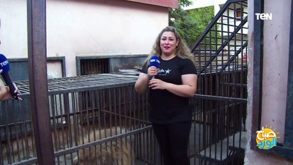 شاهد خوف ورعب سلمى عادل من الأسود خلال التصوير مع المدربة لوبا الحلو