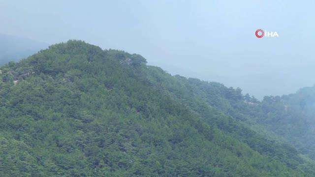 Son dakika haberi: Kazdağları'ndaki orman yangını rüzgarın etkisiyle büyüyor