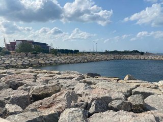 PENDİK'TE "DENİZDE SALDIRAN PİTBULL ÖLDÜRDÜ" İDDİASI