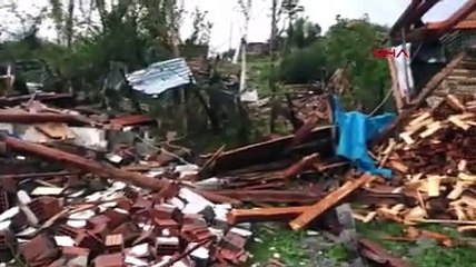 İstanbul'da ''denizde'' saldıran pitbull öldürdü