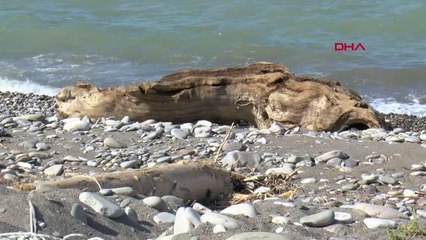 Son dakika haberleri! SELLE BİRLİKTE GELEN KÜTÜKLER, BALIKÇILARI TEDİRGİN EDİYOR