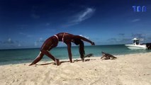 Un iguane mord une femme qui fait du yoga sur la plage