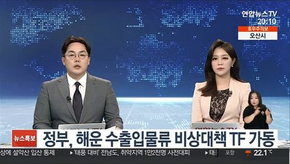 정부, 해운 수출입물류 비상대책 TF 가동