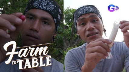 Farm To Table: Aratilis ice candy recipe to bring you back to your childhood