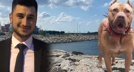 Boğulan gencin ailesinden korkunç iddia: Denizde saldıran pitbull öldürdü