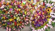 Medellín vuelve a llenarse de color y alegría con la Feria de las flores