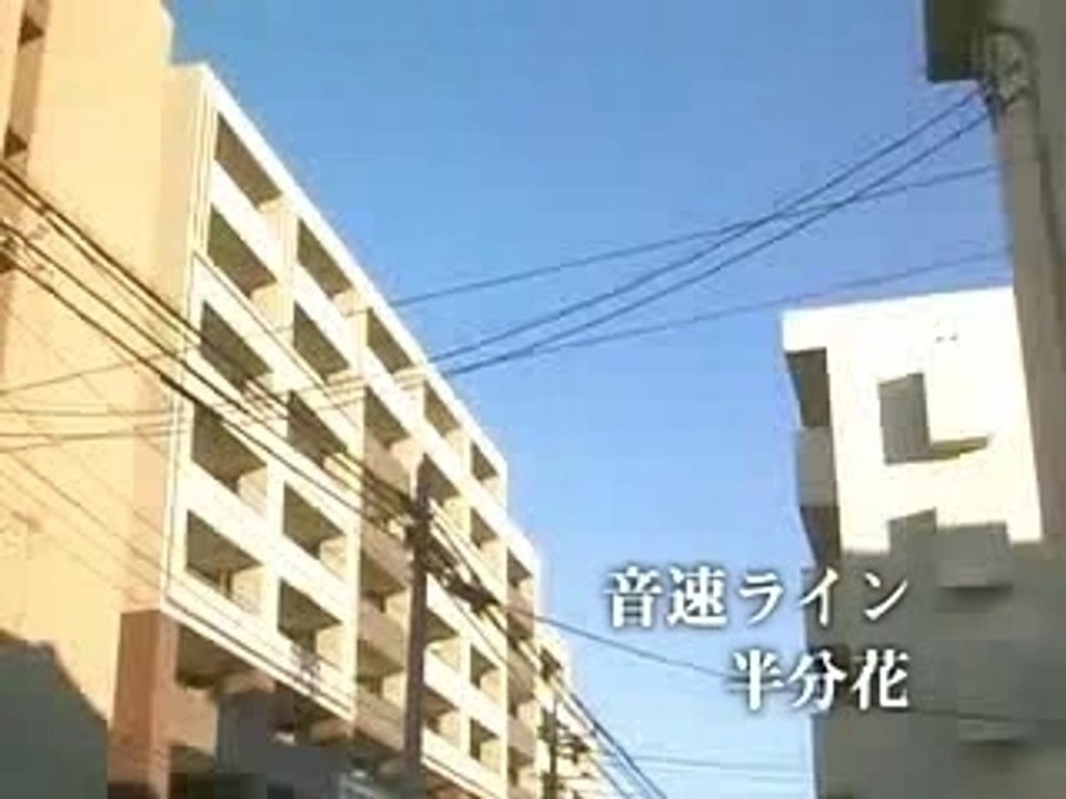 音速ライン － 半分花