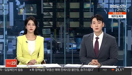 "X파일은 허위"…윤석열 장모, 경찰에 의견서