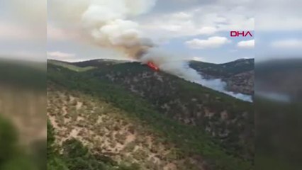 ADANA SAİMBEYLİ'DE ORMAN YANGINI