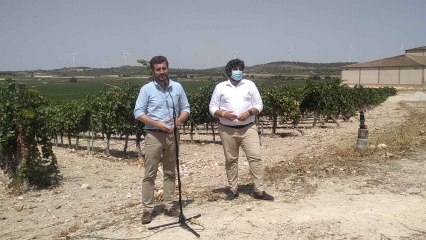 Pablo Casado durante su visita a Bodegas Juan Gil en Jumilla.