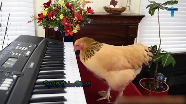 Top 25 Mind Blowing Moments Caught On Camera #2