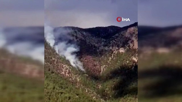 - Saimbeyli de Orman Yangını